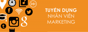 Đất Việt Group tuyển dụng Nhân viên Marketing