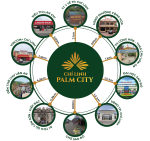 Kết nối vùng Paml City Chí Linh