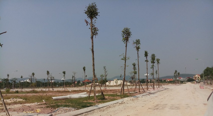 Hình dự án Chí Linh Palm City tại Chí Linh Đang hoàn thiện hạ tầng