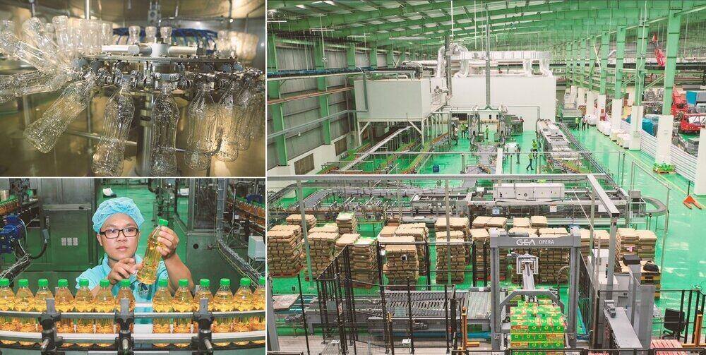 Ngành Công Nghiệp Thực Phẩm Khu Công Nghiệp Bạch Đằng, Quảng Ninh